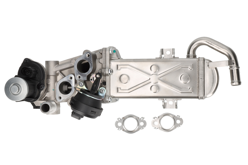 EGR Module