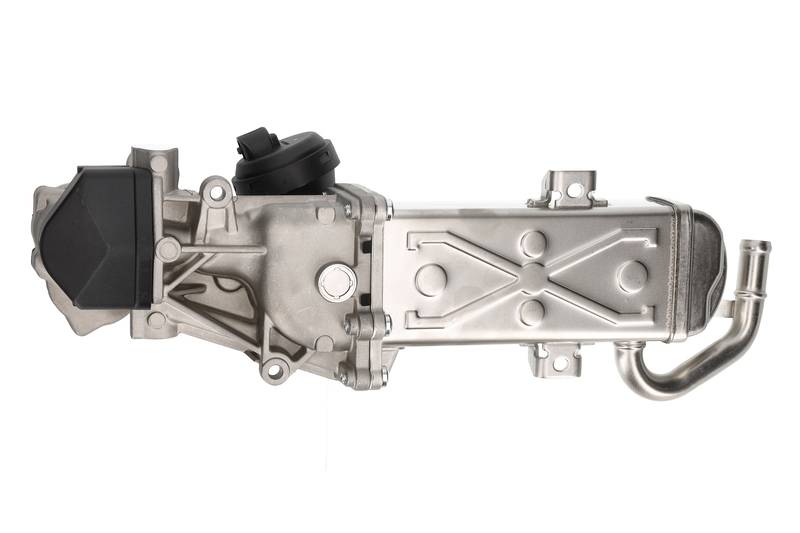 EGR Module