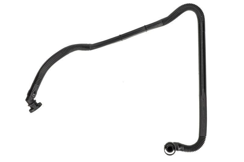 Hose, crankcase ventilation