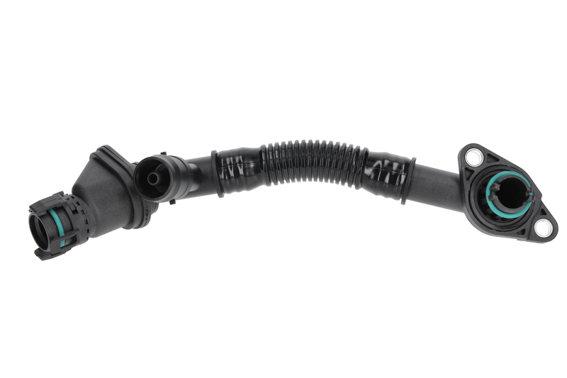 Hose, crankcase ventilation