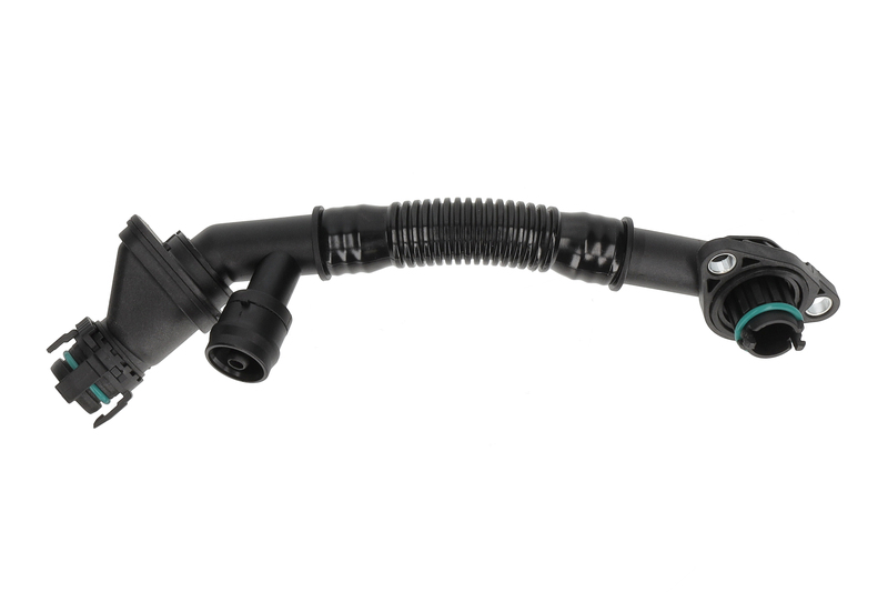 Hose, crankcase ventilation