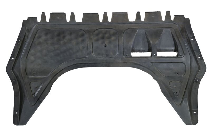 Engine Guard/Skid Plate