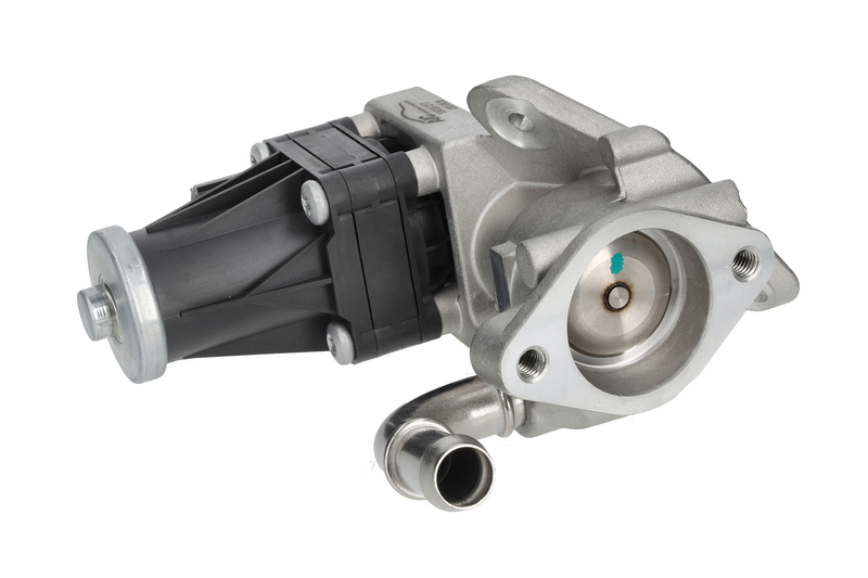 EGR Valve