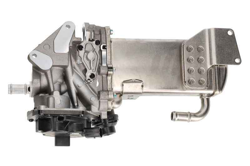 EGR Module