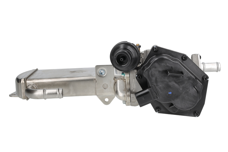 EGR Module