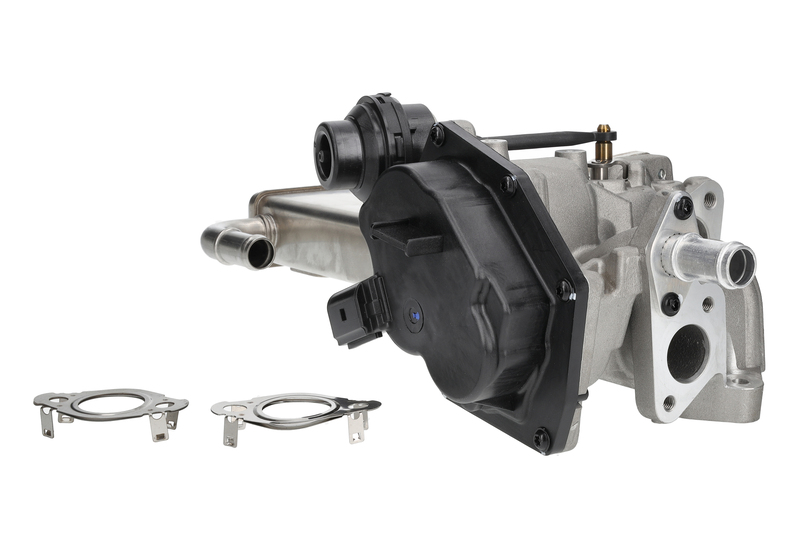 EGR Module