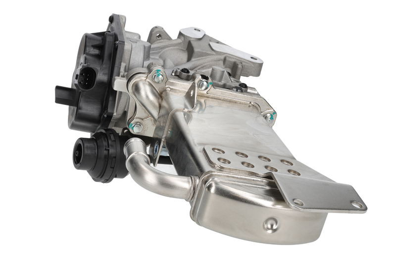 EGR Module