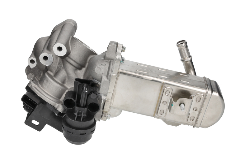 EGR Module