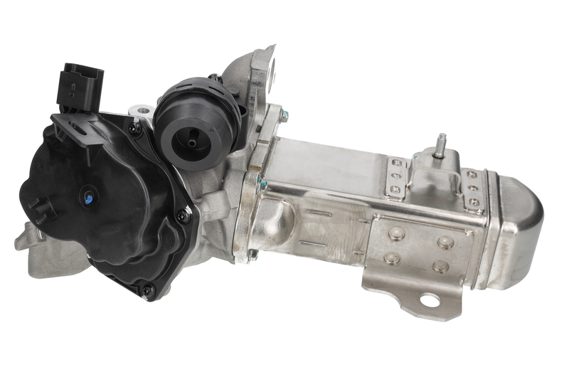 EGR Module