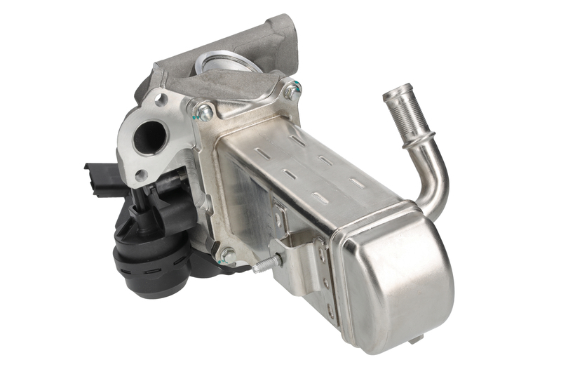 EGR Module