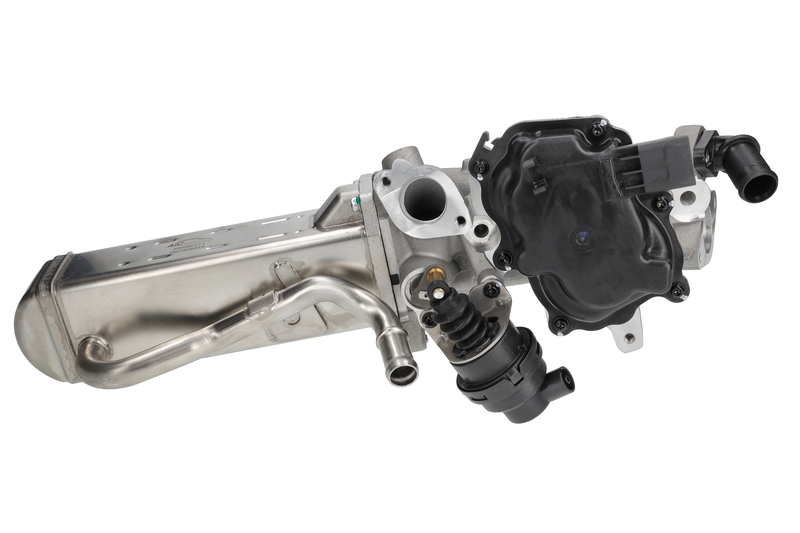 EGR Module