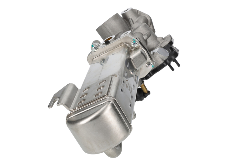 EGR Module