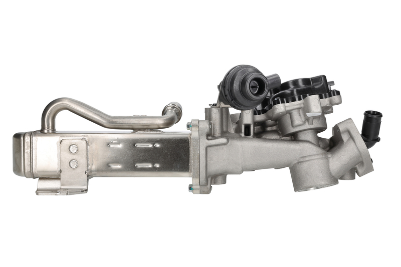 EGR Module