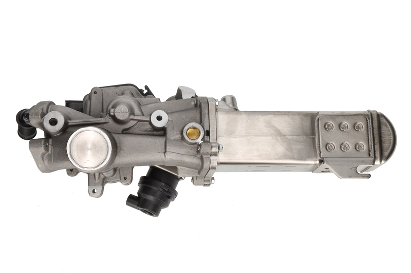 EGR Module