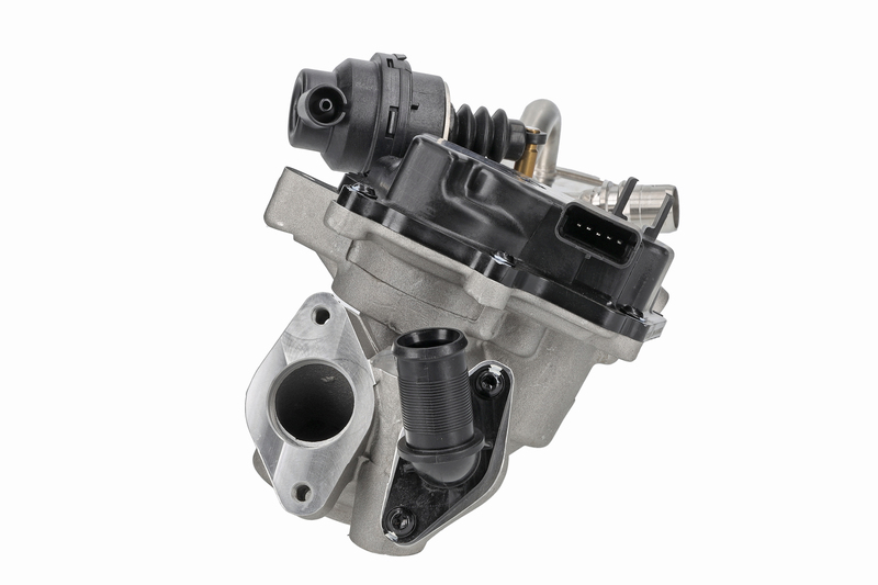 EGR Module
