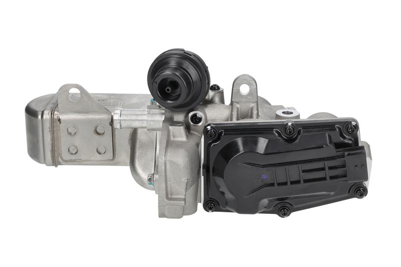 EGR Module