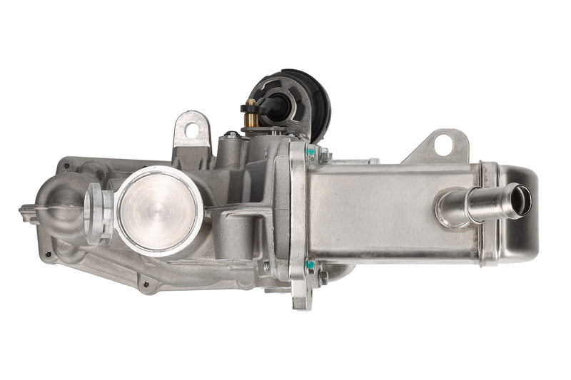 EGR Module
