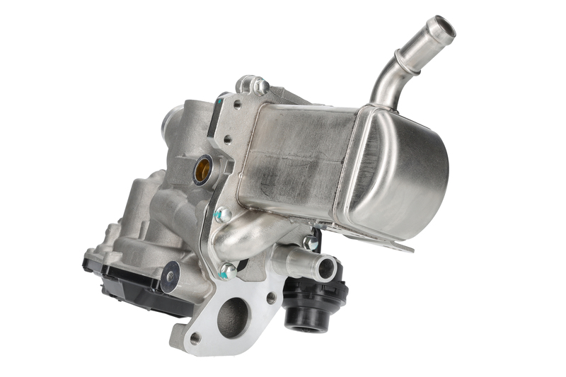 EGR Module
