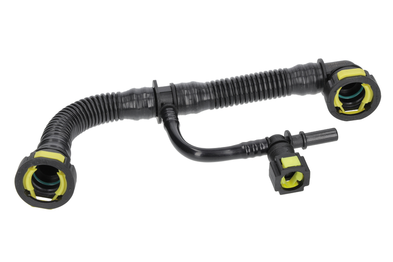 Hose, crankcase ventilation