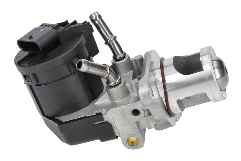 EGR Valve