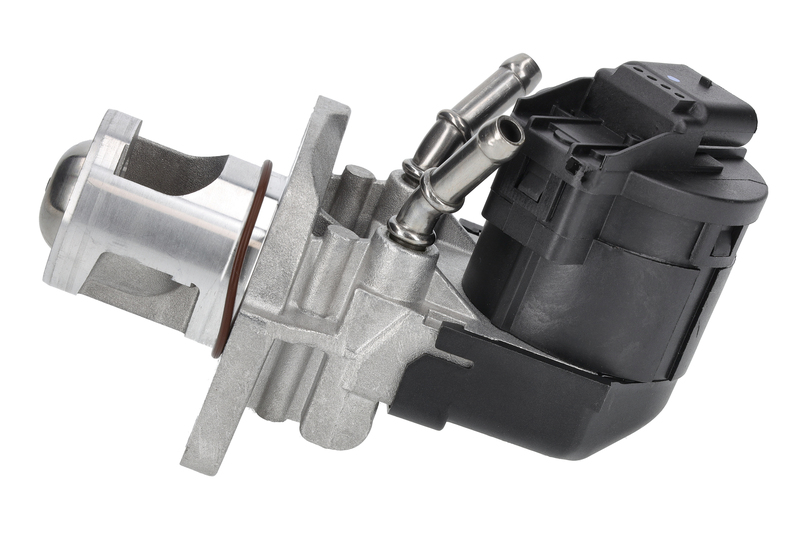 EGR Valve