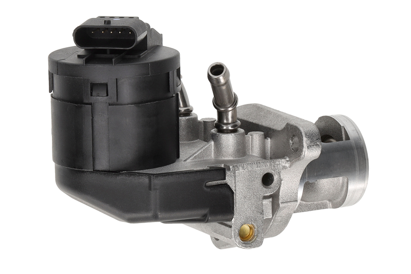 EGR Valve