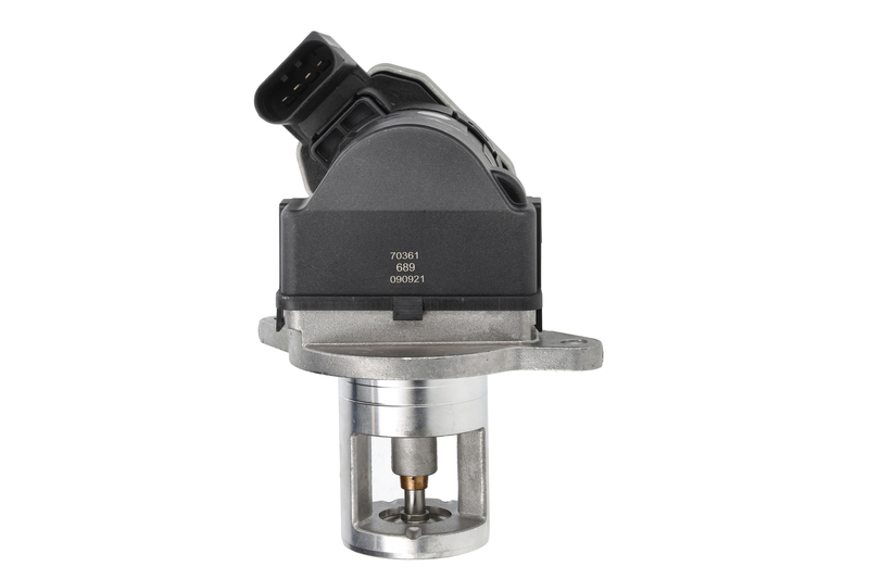 EGR Valve