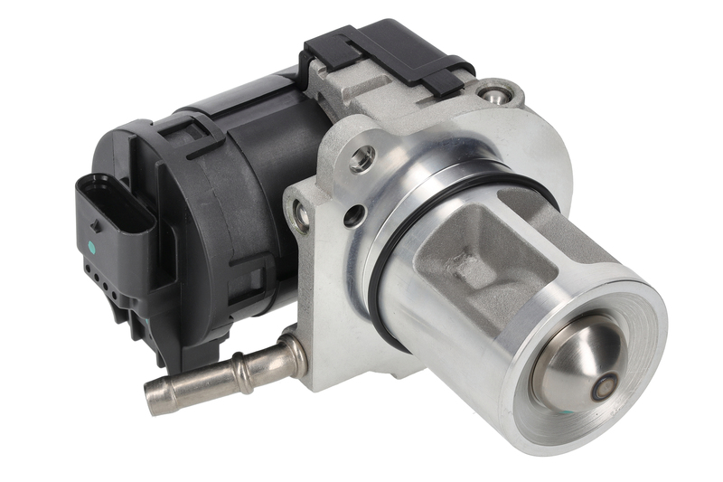 EGR Valve