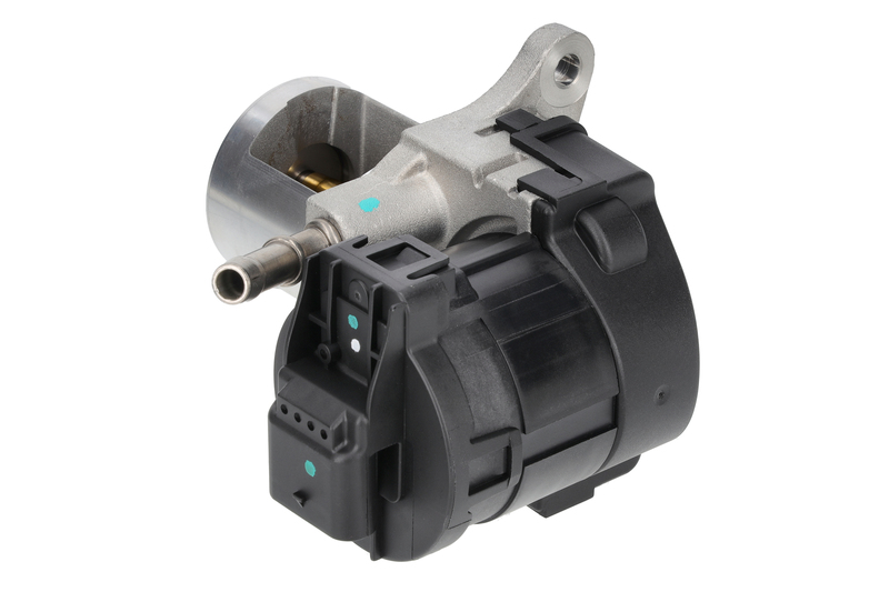EGR Valve