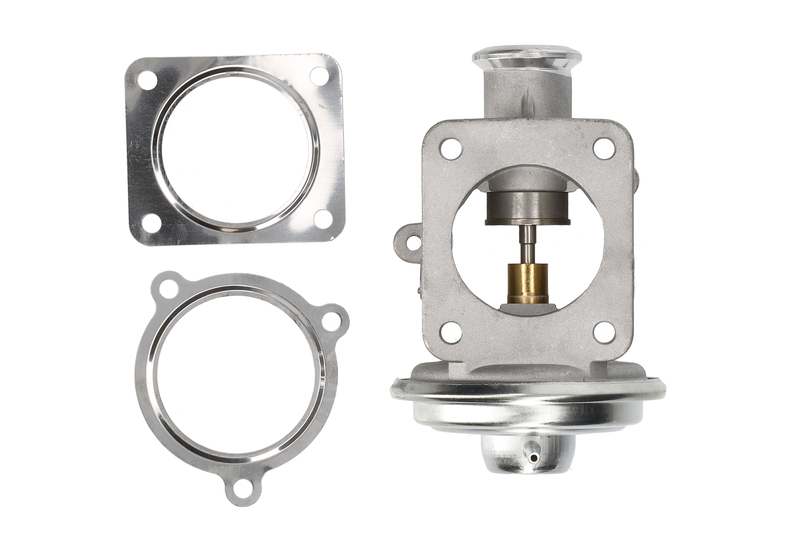 EGR Valve