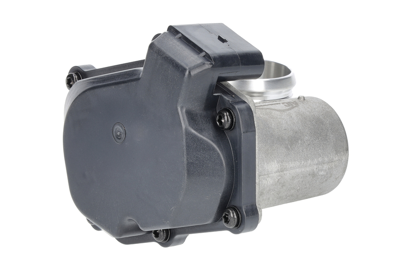 EGR Valve