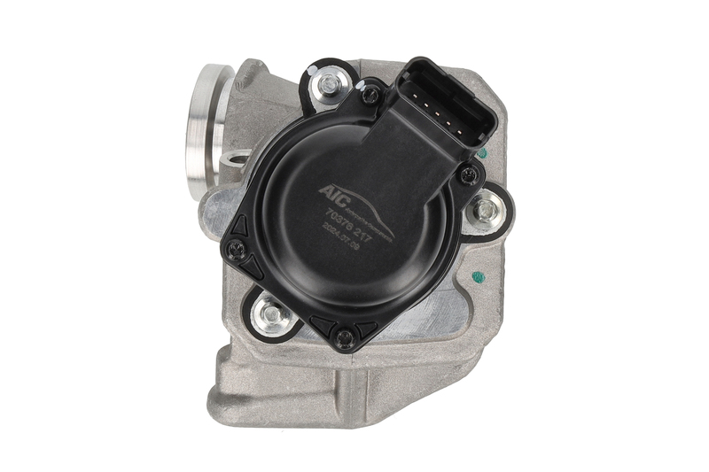 EGR Valve