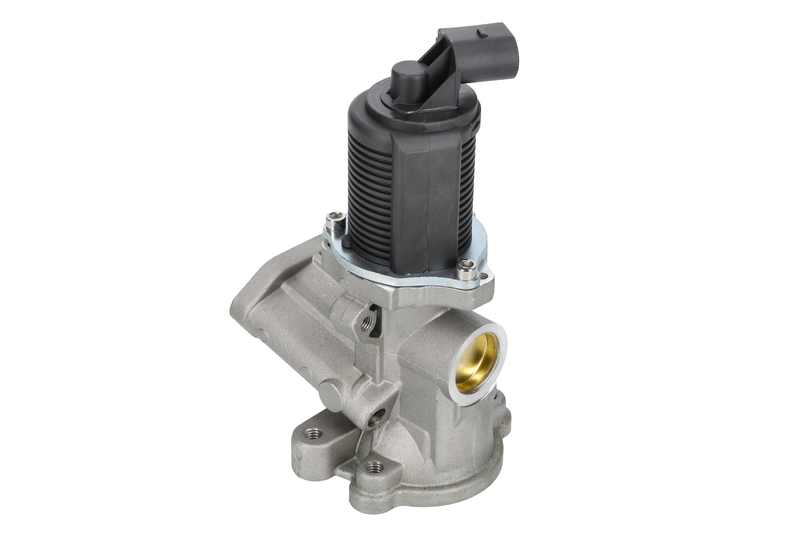 EGR Valve