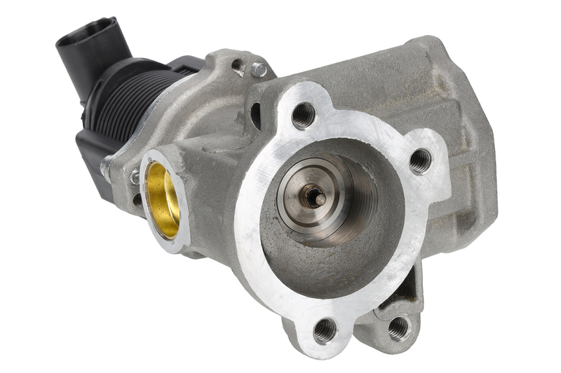 EGR Valve