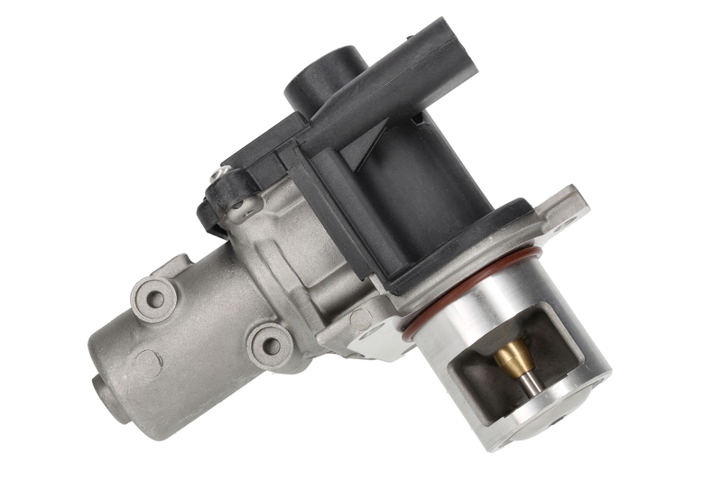 EGR Valve