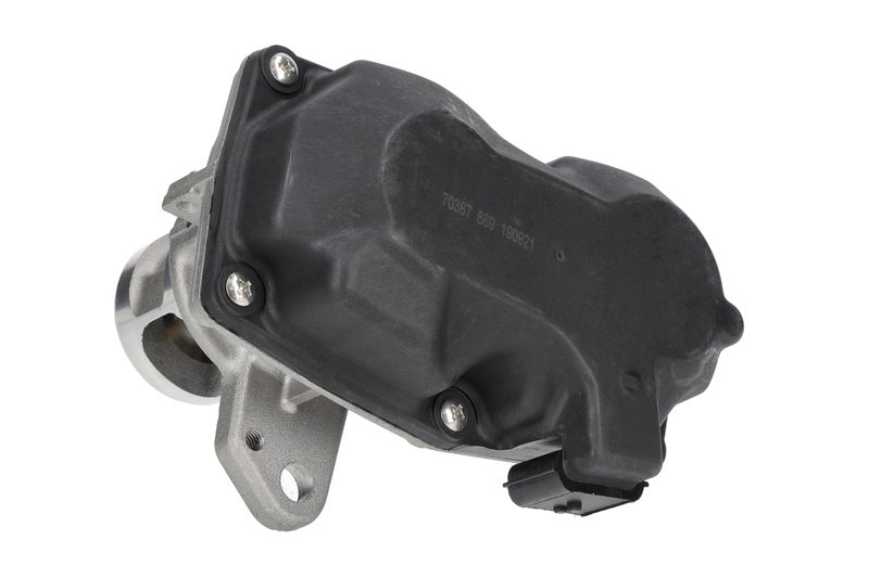EGR Valve