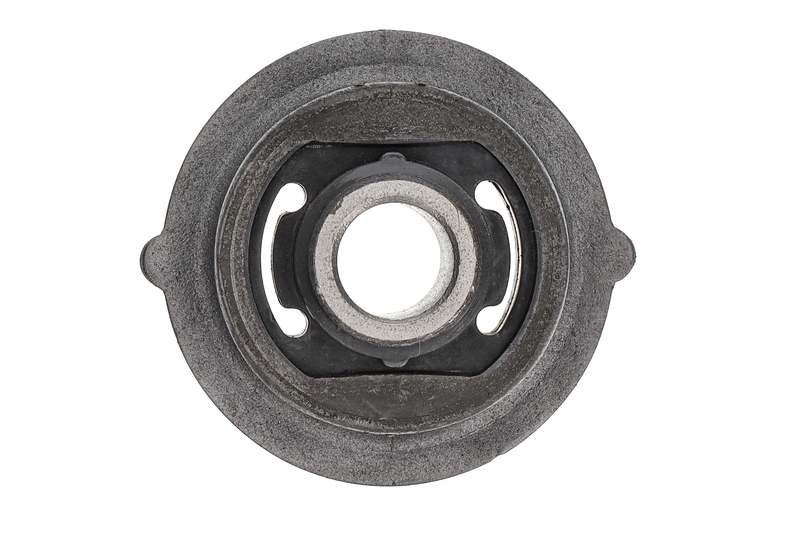 Mounting, control/trailing arm