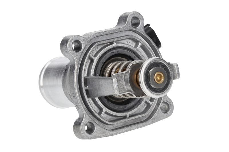 Thermostat, coolant