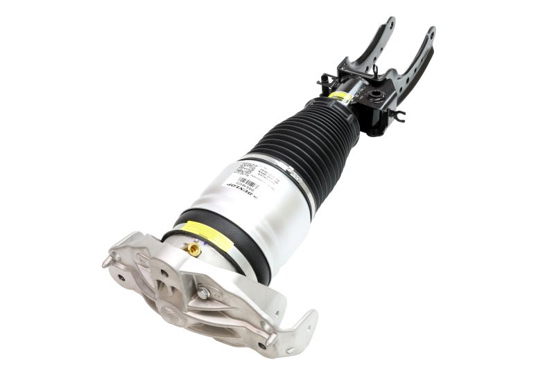 Air Suspension Strut
