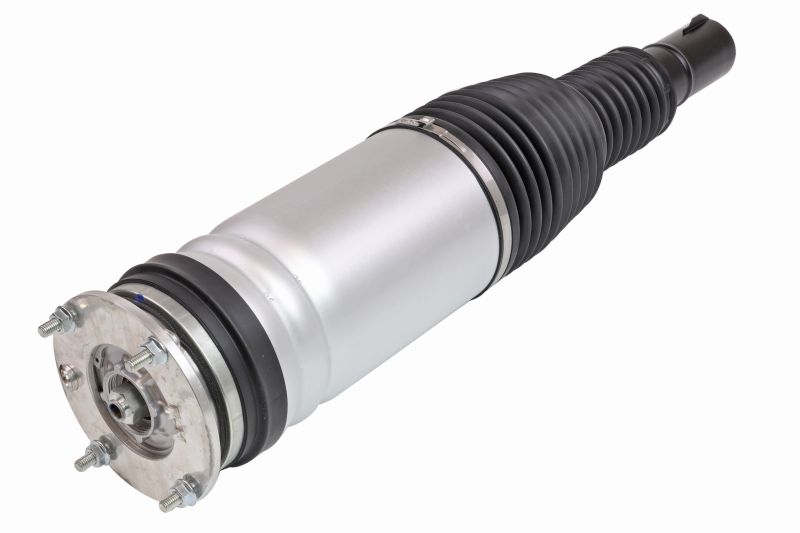 Air Suspension Strut