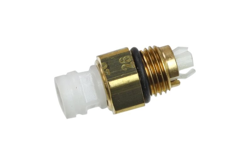 Air Suspension Strut