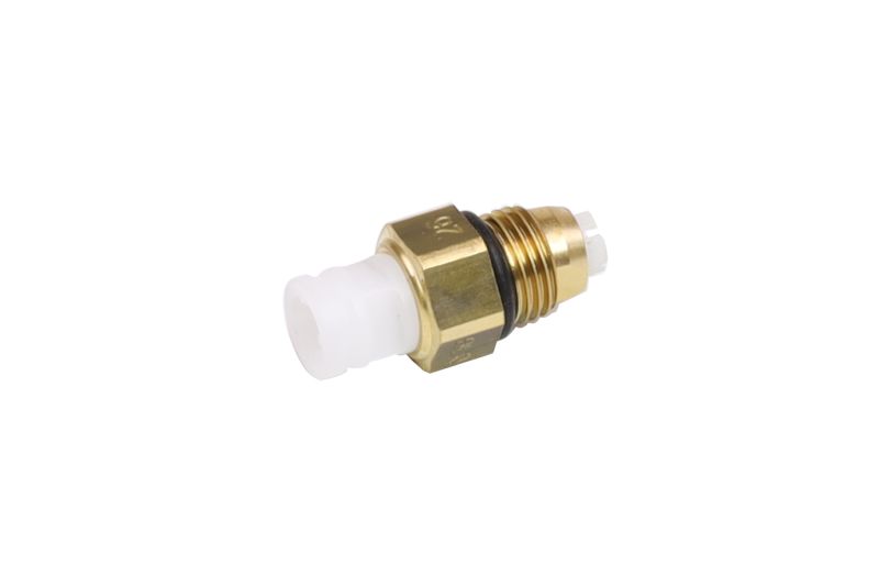 Air Suspension Strut