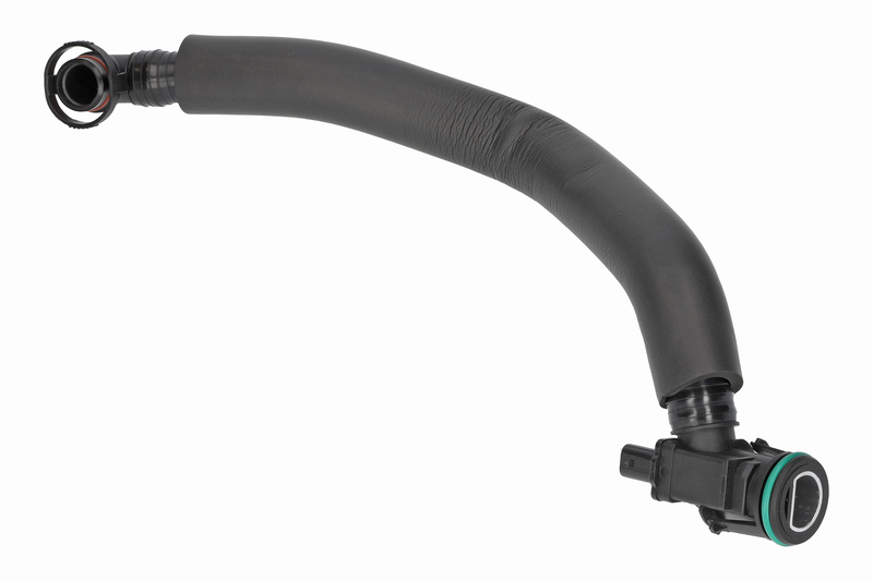 Hose, crankcase ventilation