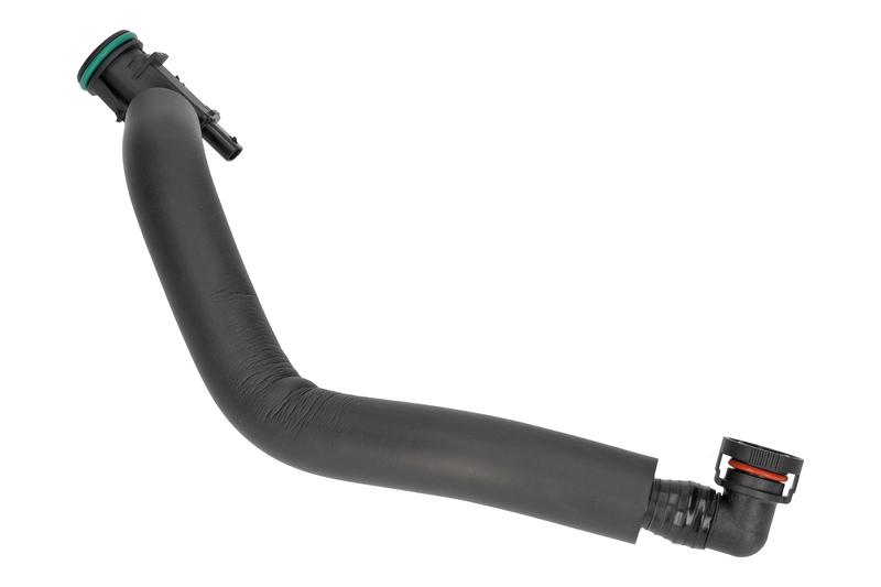 Hose, crankcase ventilation