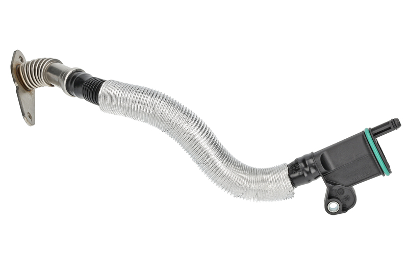 Hose, crankcase ventilation